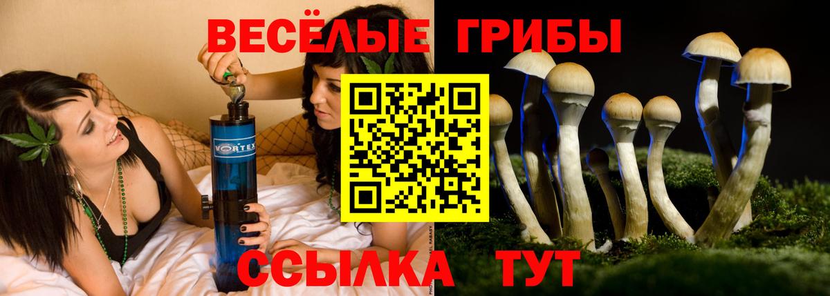 Галлюциногенные грибы прущие грибы Краснокамск